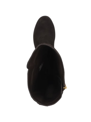 Steve Madden Stiefel Extreme in braun