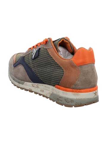 Cetti Sportliche Slipper in Grün