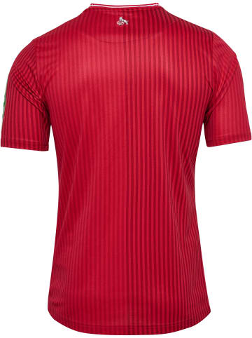 Hummel Hummel T-Shirt 1Fck 23/24 Fußball Erwachsene Schnelltrocknend in TRUE RED