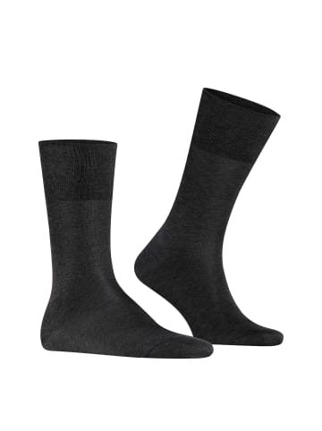 Falke Socken 1er Pack in Dunkelgrau