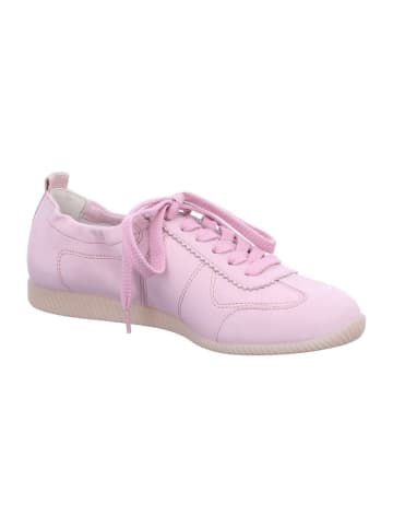 Paul Green Schnürschuh in Rosa Pastell