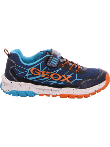 Geox Sneaker in blau