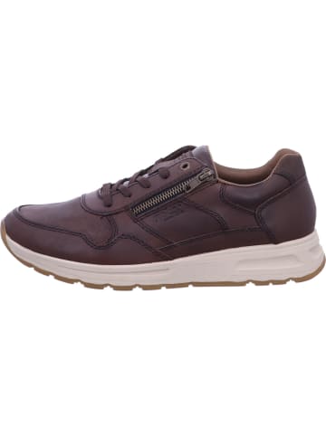 rieker Sneaker Low in braun