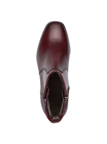 Tamaris COMFORT Stiefelette in BORDEAUX