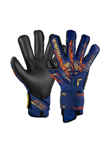 Reusch Torwarthandschuh Attrakt Duo Evolution in 4411 premium blue/gold/black