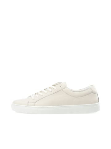 Bianco Sneakers in Off White