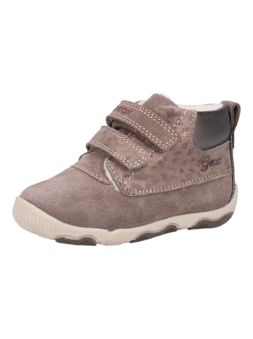 Geox Sneaker in Grau