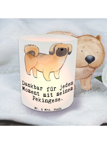 Mr. & Mrs. Panda Windlicht aus Glas Pekingese Moment mit Spruch in Transparent