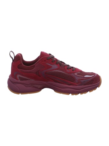 Igi&Co Sneaker Kaizen GTX in Violett