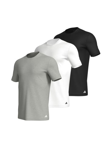 adidas T-Shirt T-Shirt Basic 3P in Multi