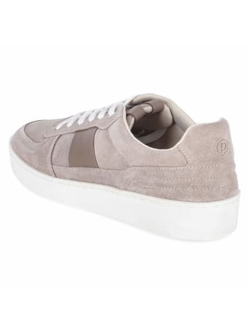 Palado Low Sneaker in beige
