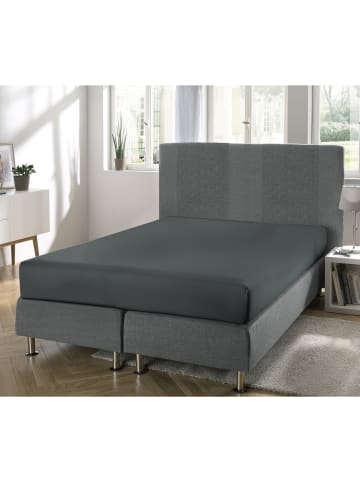 Erwin Müller Single-Jersey Boxspring-Spannbettlaken Regensburg in anthrazit
