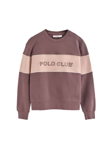 Polo Club Sweatshirt in Taupe Rosa