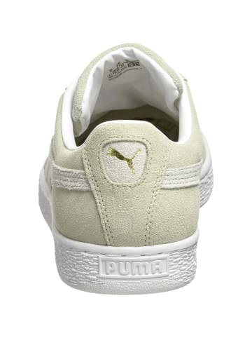 Puma Puma Turnschuhe in spring moss/white