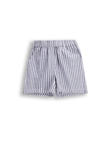 Coccodrillo Kurze Hosen in bunt