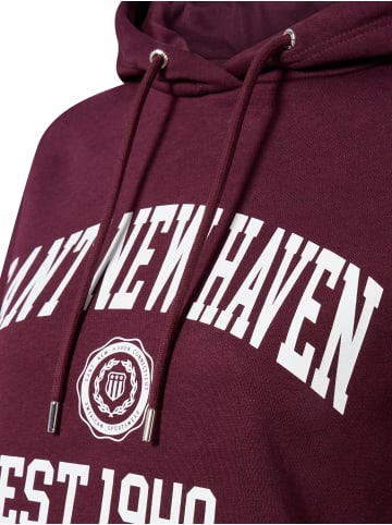 Gant Sweatshirt in aubergine - 0001