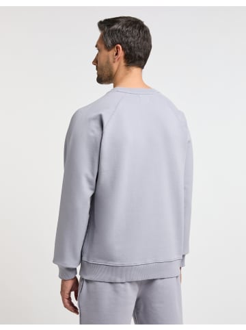 Joy Sportswear Sweatshirt JOY 103 in frost grey