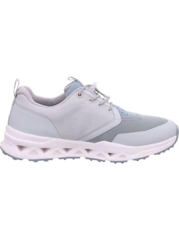 SALAMANDER Sneaker  in Grau