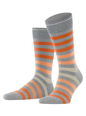 Burlington Socke Blackpool SO in Lunar