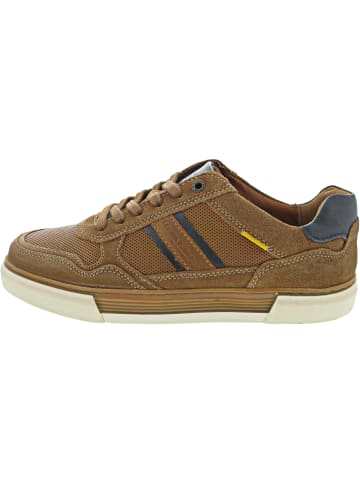 Camel Active Sneaker low Braun