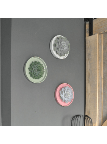 NatureNest Echeveria Lilacina Sukkulente in rosa Keramikschale