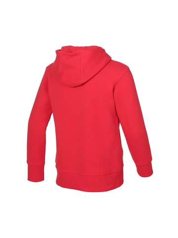 Fußballverein 1. FC Köln Kinder Sweatshirt "Hoodie Basic" in Rot