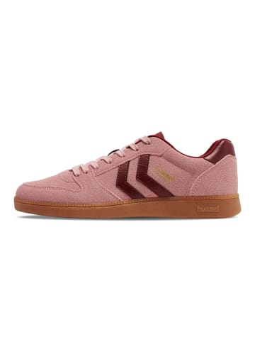 Hummel Hummel Schnürsenkel Sneaker Handball Perfekt Lebensstil Erwachsene in SUN KISSED CORAL