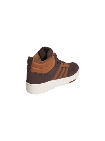 adidas Sneakers Low Hoops 4.0 Mid Winterized in braun