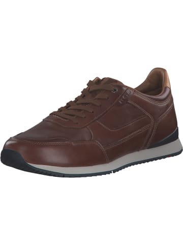 LLOYD Klassische- & Business Schuhe in 4 - DARK BROWN