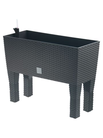 dynamic24 Hochbeet m. Bewässerung 60(B) x 46(H) x 24,5cm(T) in Anthrazit