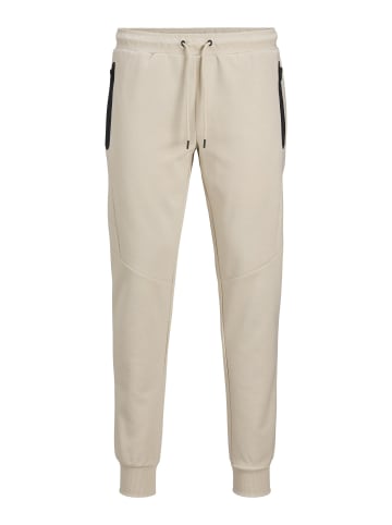 Jack & Jones Jogginghose in Moonbeam