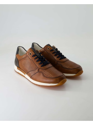 Sioux Sneaker low in Braun