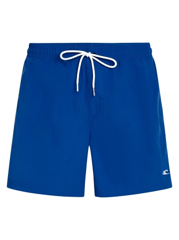 O`Neill Vert 16" Swimshorts in Hellblau