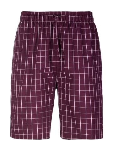 AUTHENTIC LE JOGGER Shorty in grau-meliert-bordeaux-kariert