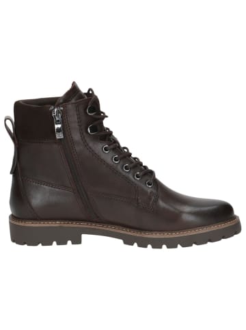 Caprice Stiefelette in DK BROWN COMB