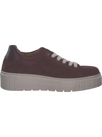 Gabor Comfort Schnürschuhe in merlot/mulberry
