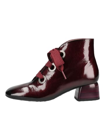 Hispanitas Stiefelette VARSOVIA6 in Bordeaux