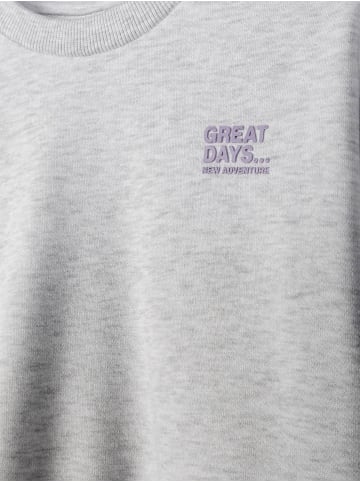 Minoti 2-er Pack Rundhalspullover NOSFLEECE403 in flieder