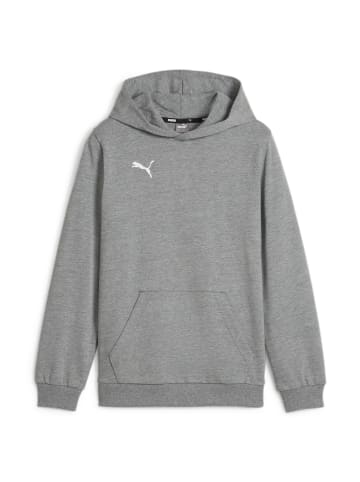 Puma Sweatshirt teamGOAL Casuals Hoody Jr in grau