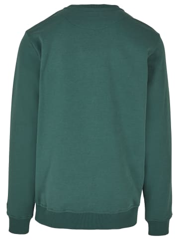 STARTER Sweater in darkfreshgreen