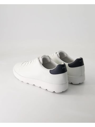 Geox Sneaker low in Weiß