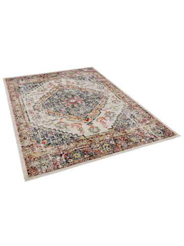 Pergamon Designer Teppich Vintage Zoe Orient Bordüre in Bunt
