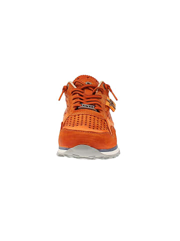 Cetti Sneaker low C-848 V25-26 in Orange