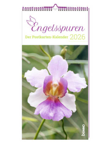 St. Benno Kalender - Engelsspuren 2026