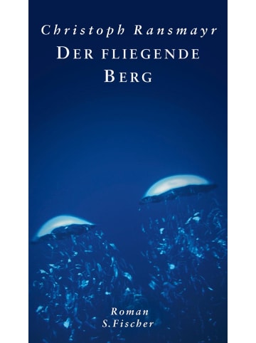 S. Fischer Roman - Der fliegende Berg