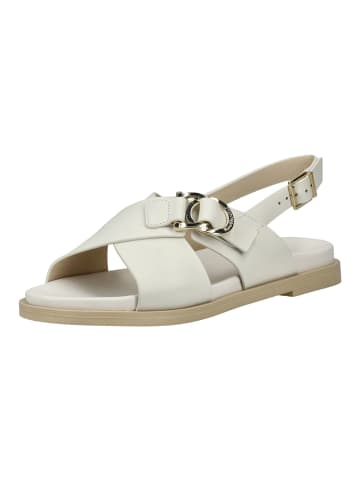 Nero Giardini Sandalen in Weiß