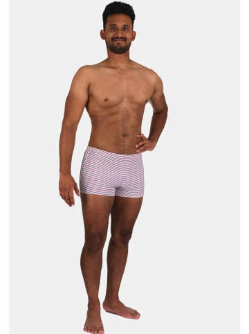 wavebreaker Badehose in blau/weiß