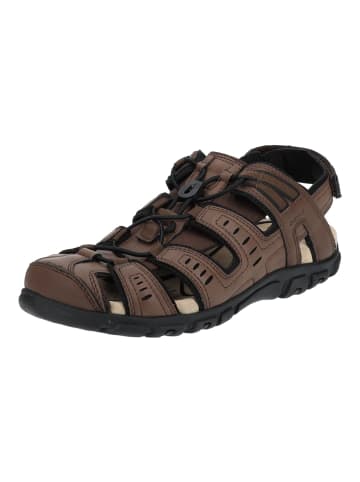 Geox Wanderschuhe in Dunkelbraun