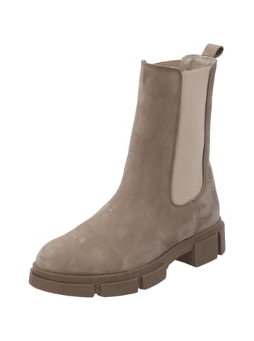 Palado Chelsea Boots Focne in Beige
