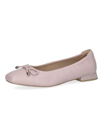 Caprice Ballerinas in Lila